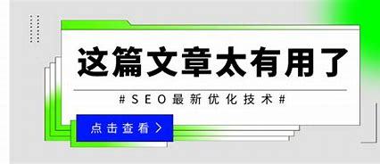 山東新站seo優(yōu)化技術(shù)詳解:新站seo優(yōu)化快速上排名|2024年07月更新
